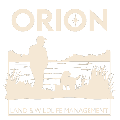 Orion Wildlife