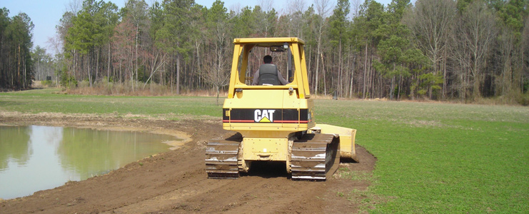 Field-Edge Food Plots