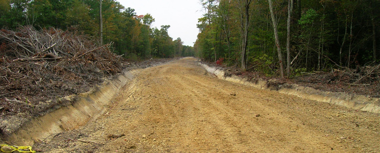 Forested Roadways and Clearings