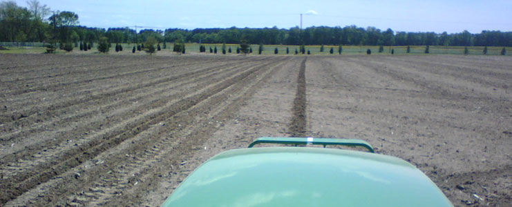 dove-planting-4